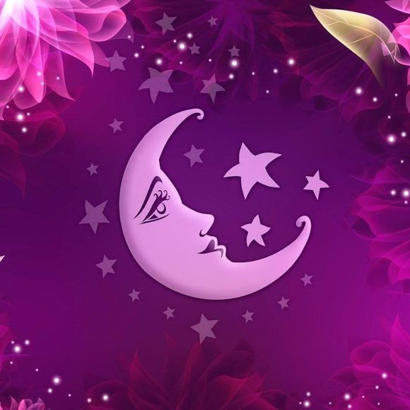 moondk55